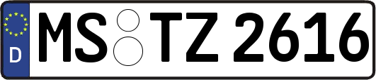 MS-TZ2616
