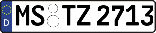 MS-TZ2713