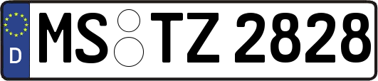 MS-TZ2828