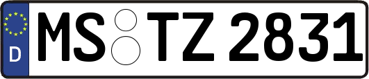 MS-TZ2831