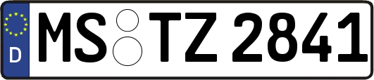 MS-TZ2841