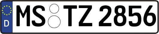 MS-TZ2856