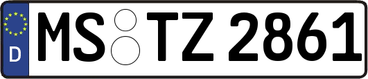 MS-TZ2861