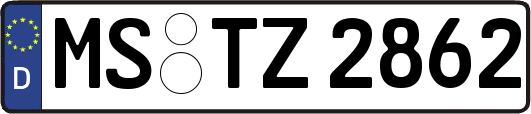 MS-TZ2862