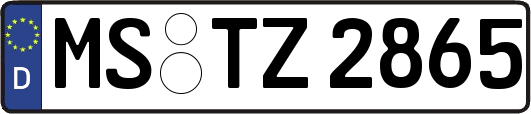 MS-TZ2865