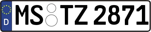 MS-TZ2871