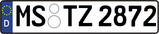 MS-TZ2872