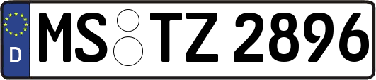 MS-TZ2896