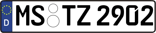 MS-TZ2902