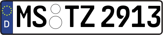 MS-TZ2913