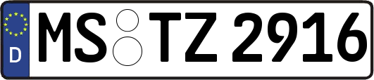 MS-TZ2916
