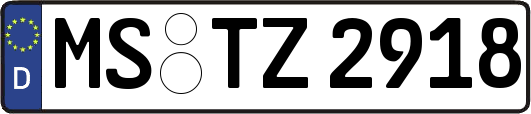 MS-TZ2918