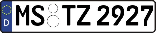 MS-TZ2927