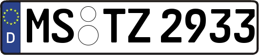 MS-TZ2933