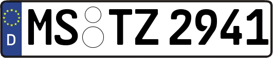 MS-TZ2941