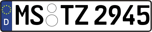 MS-TZ2945