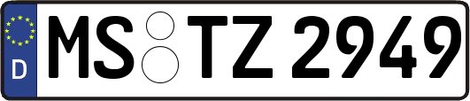 MS-TZ2949