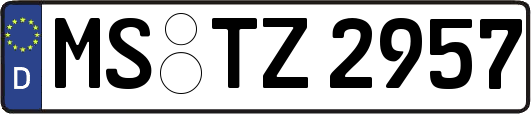 MS-TZ2957