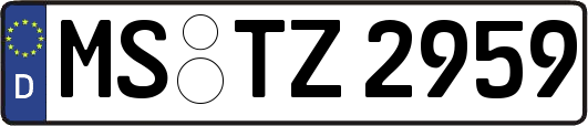 MS-TZ2959