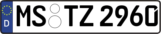 MS-TZ2960