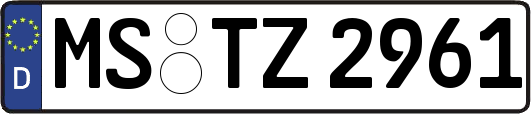 MS-TZ2961