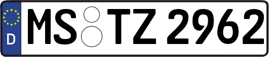 MS-TZ2962