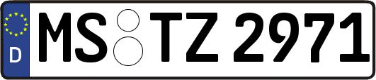 MS-TZ2971