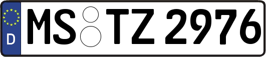 MS-TZ2976