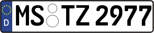 MS-TZ2977
