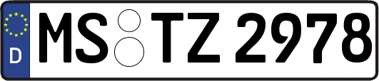 MS-TZ2978