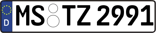 MS-TZ2991