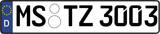 MS-TZ3003