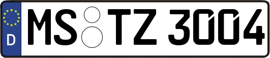 MS-TZ3004