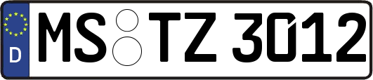 MS-TZ3012