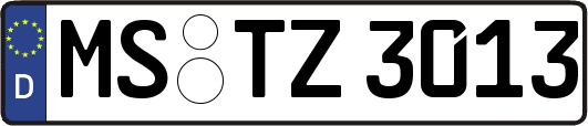 MS-TZ3013