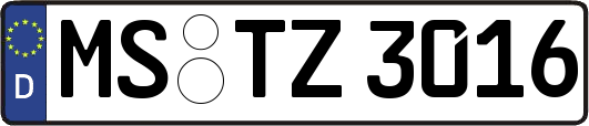 MS-TZ3016