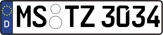 MS-TZ3034