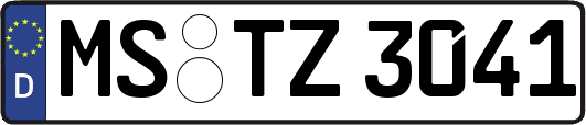 MS-TZ3041
