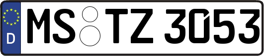 MS-TZ3053