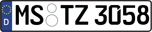 MS-TZ3058