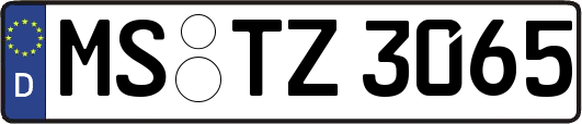 MS-TZ3065