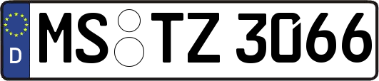 MS-TZ3066