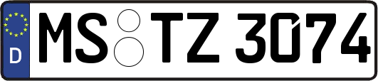 MS-TZ3074