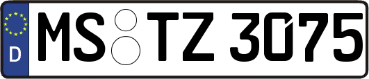 MS-TZ3075