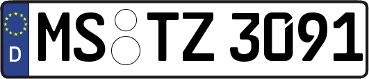 MS-TZ3091