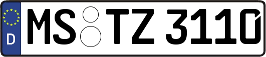MS-TZ3110