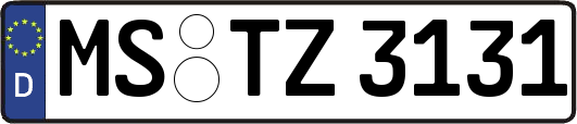 MS-TZ3131