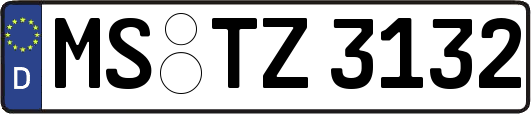 MS-TZ3132