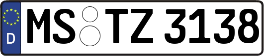 MS-TZ3138