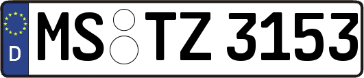 MS-TZ3153